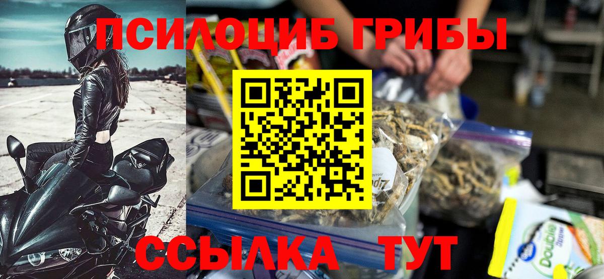 Галлюциногенные грибы GOLDEN TEACHER Железноводск